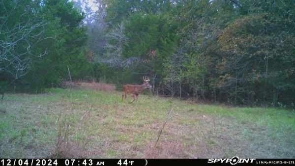 65.35 acres in Limestone County - photo 8