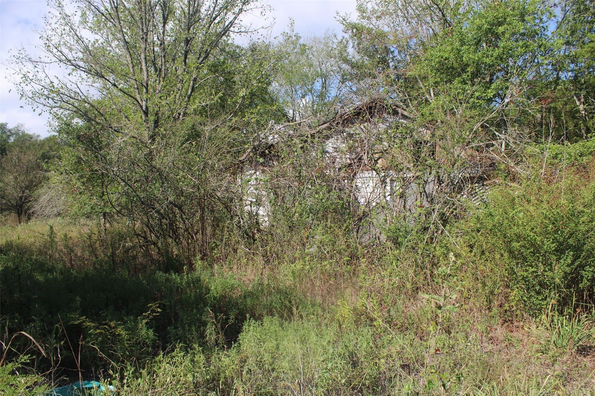 65.35 acres in Limestone County - photo 11
