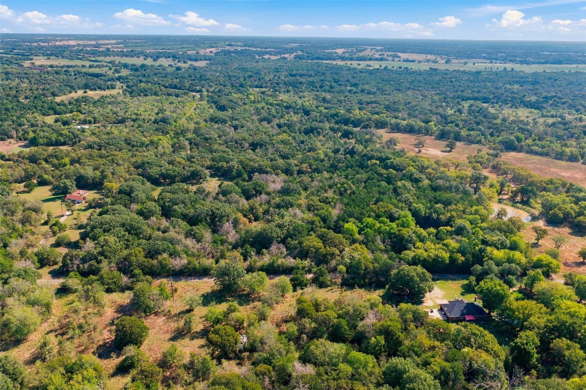 65.35 acres in Limestone County - photo 3
