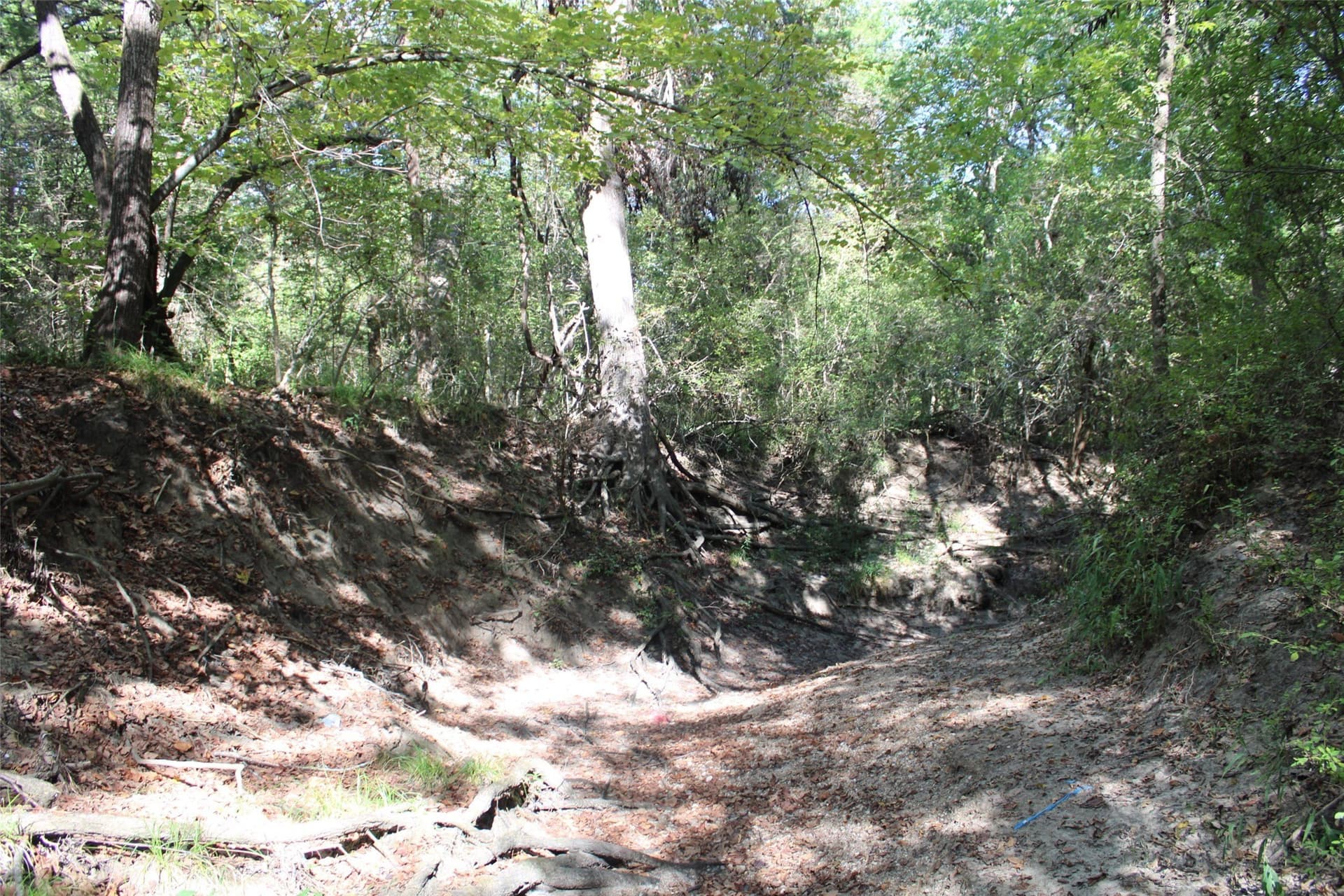 65.35 acres in Limestone County - photo 17