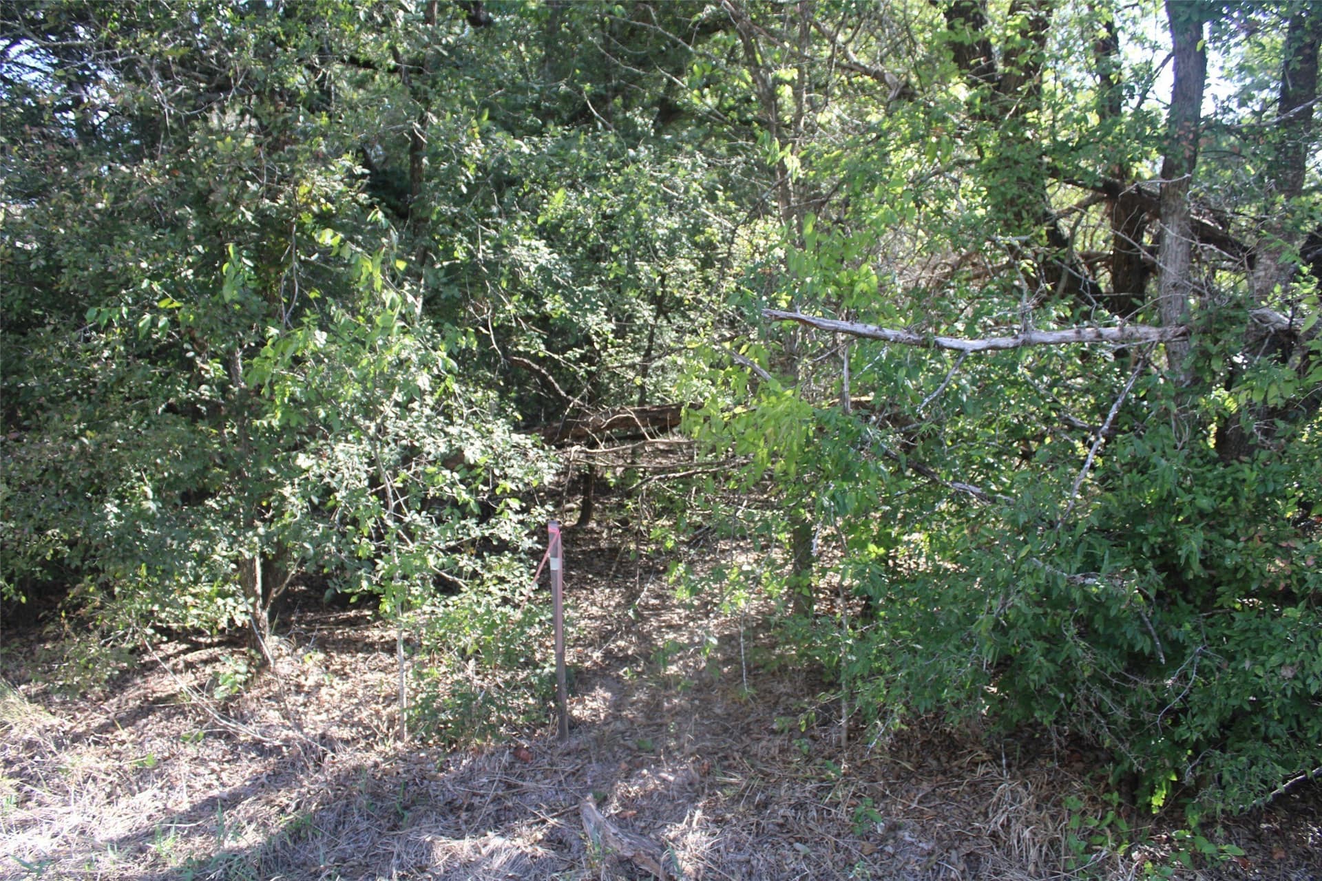 65.35 acres in Limestone County - photo 12
