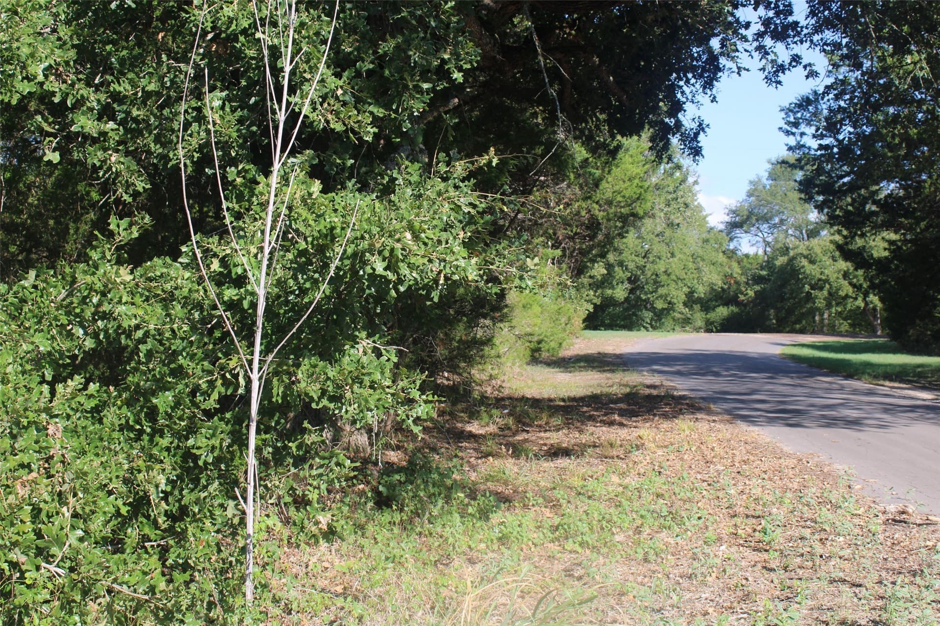 65.35 acres in Limestone County - photo 10