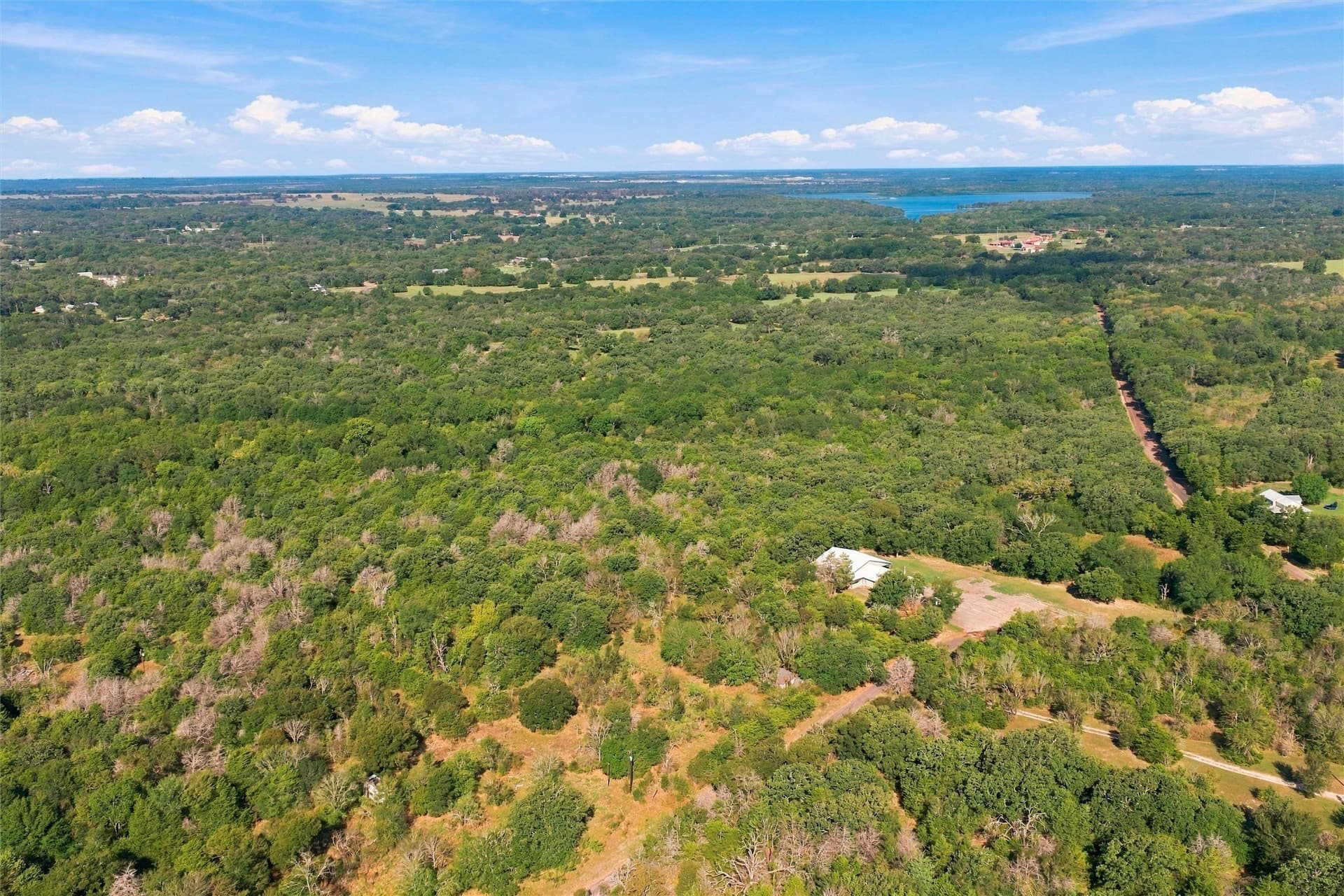 65.35 acres in Limestone County - photo 2