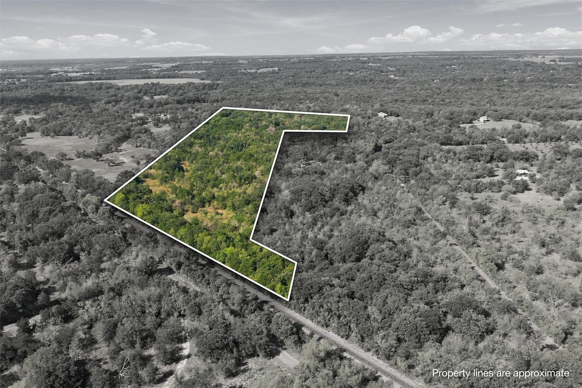 65.35 acres in Limestone County - photo 4