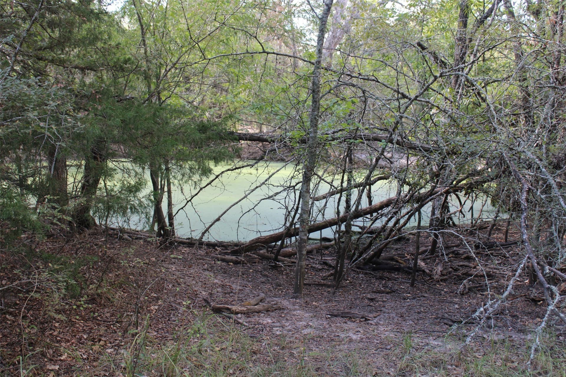 65.35 acres in Limestone County - photo 13