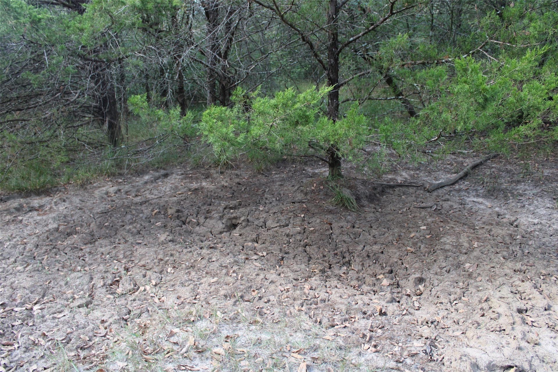 65.35 acres in Limestone County - photo 18