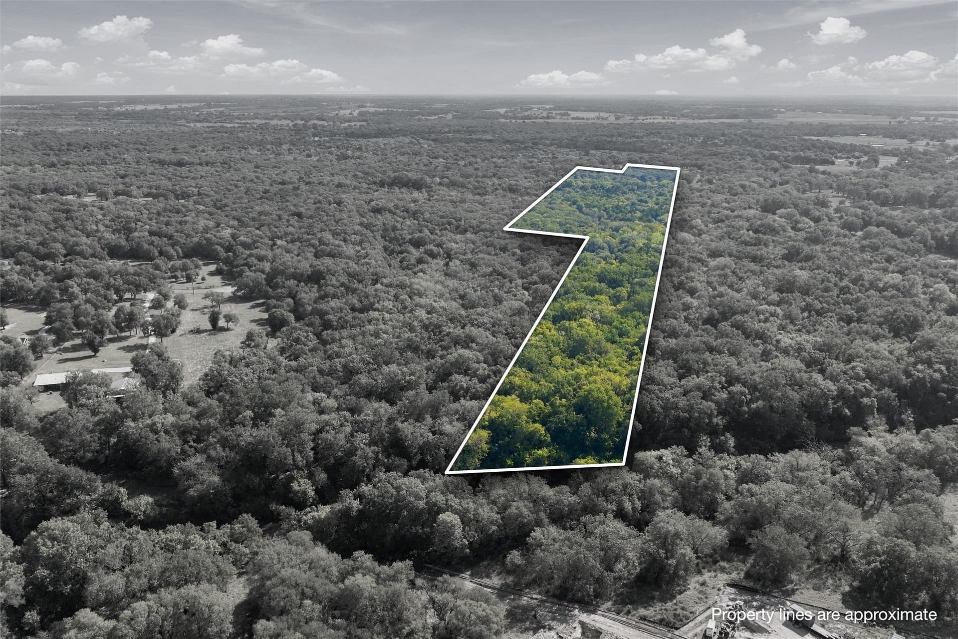 65.35 acres in Limestone County - photo 5