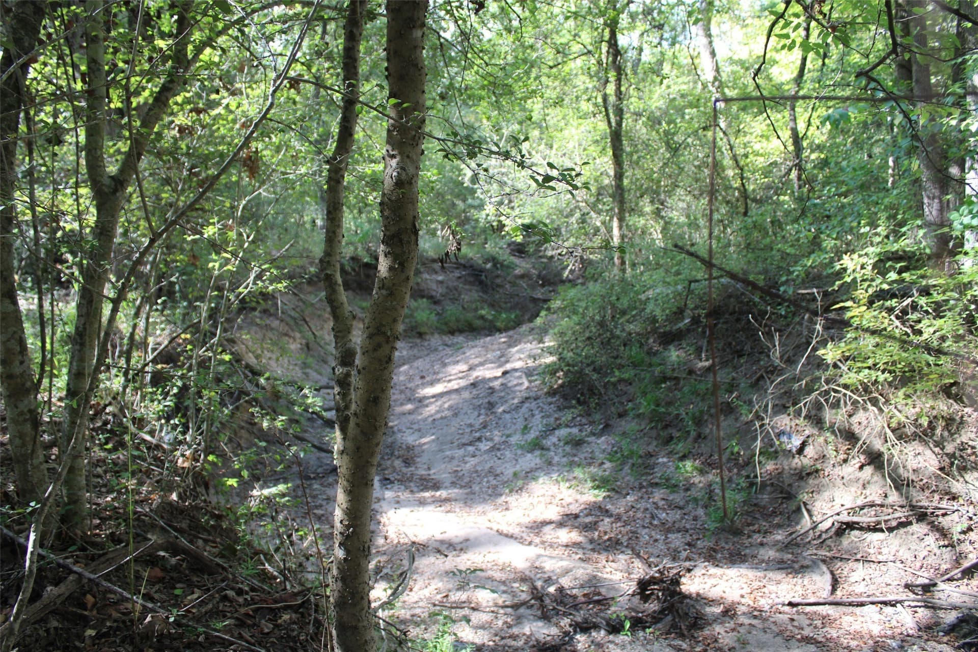 65.35 acres in Limestone County - photo 16