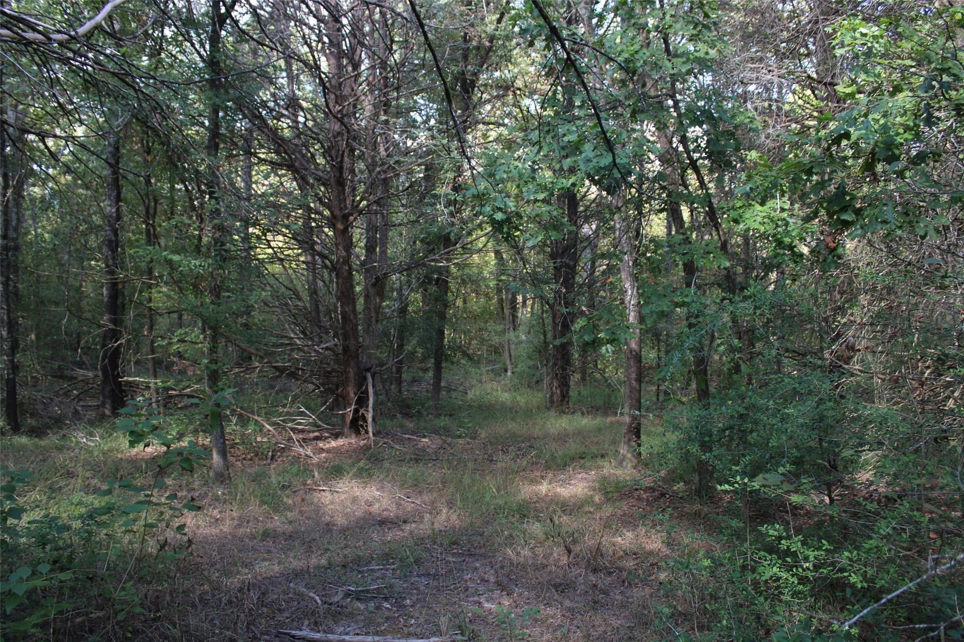 65.35 acres in Limestone County - photo 15