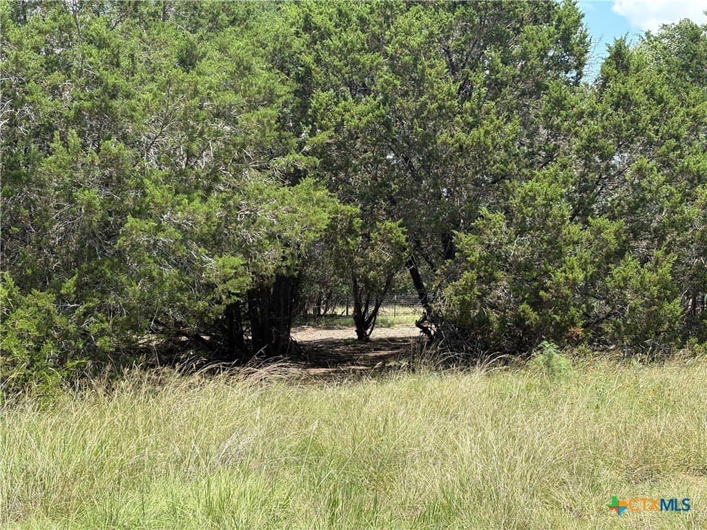 14.98 acres in Lampasas County gallery image 3