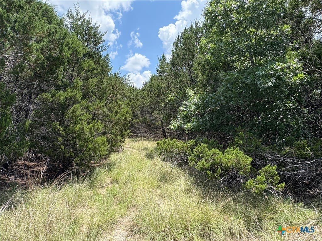 14.98 acres in Lampasas County featured view