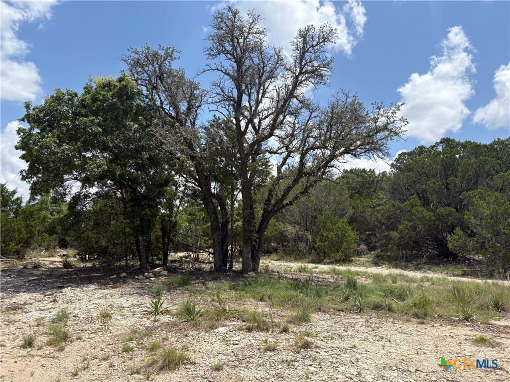 14.98 acres in Lampasas County gallery image 4