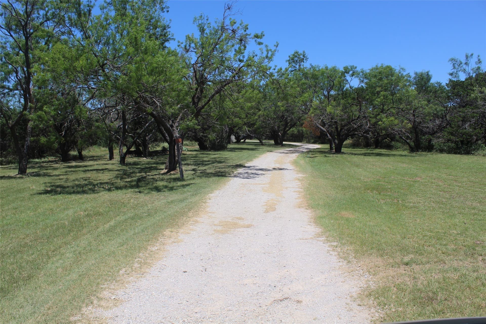 23.6 acres in Palo Pinto County - photo 7