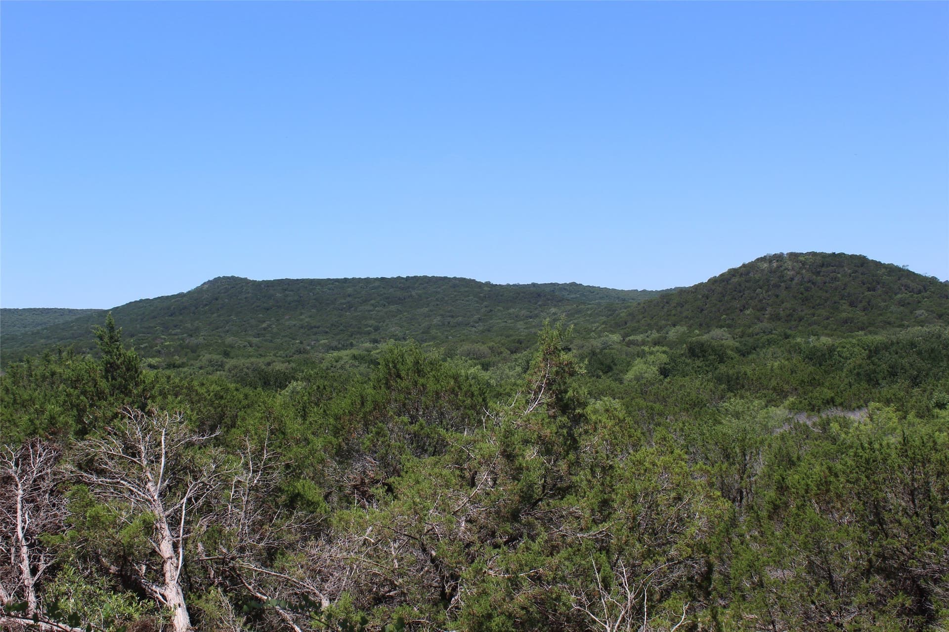 23.6 acres in Palo Pinto County - photo 12