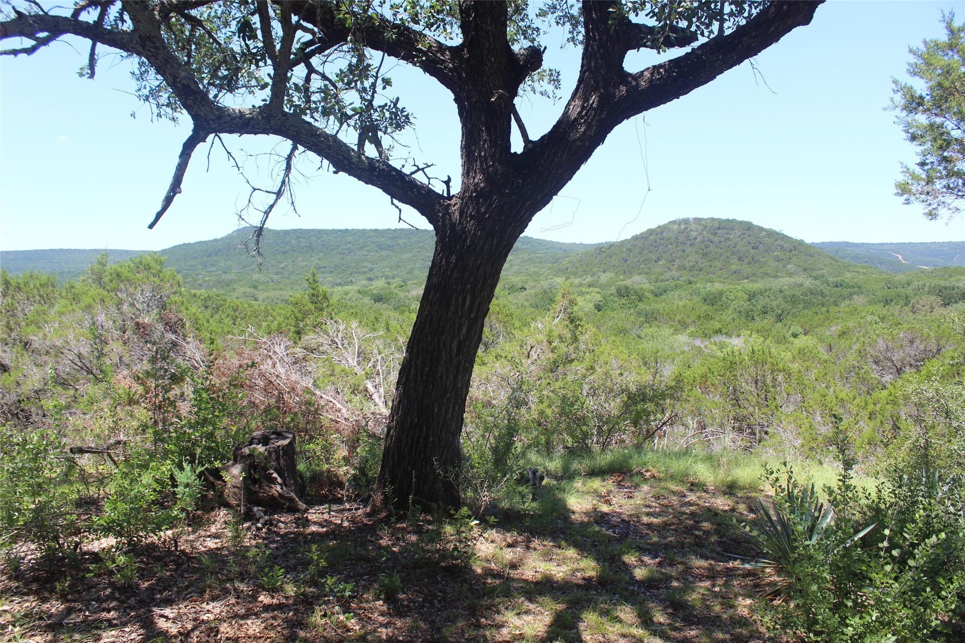 23.6 acres in Palo Pinto County - photo 11