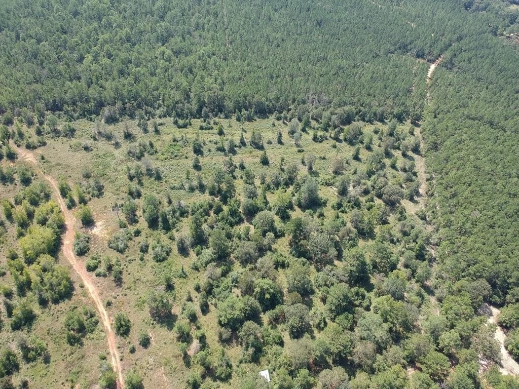 11 acres in Texas County - photo 9