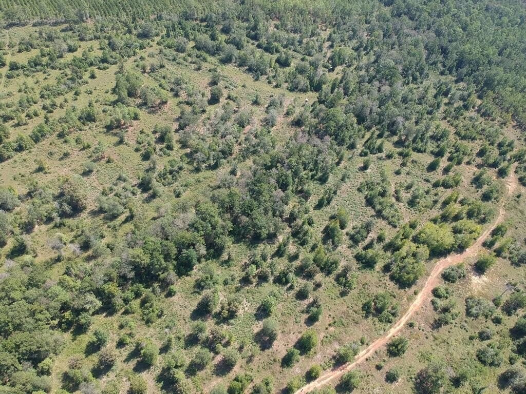 11 acres in Texas County - photo 8