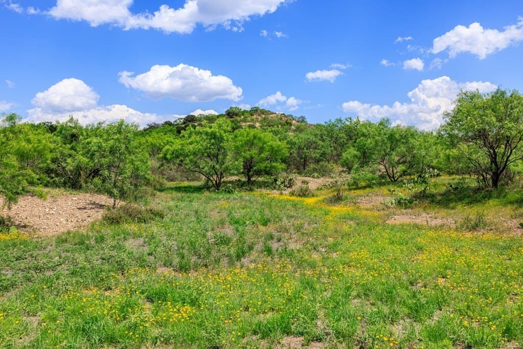 860 acres in San Saba County - photo 19