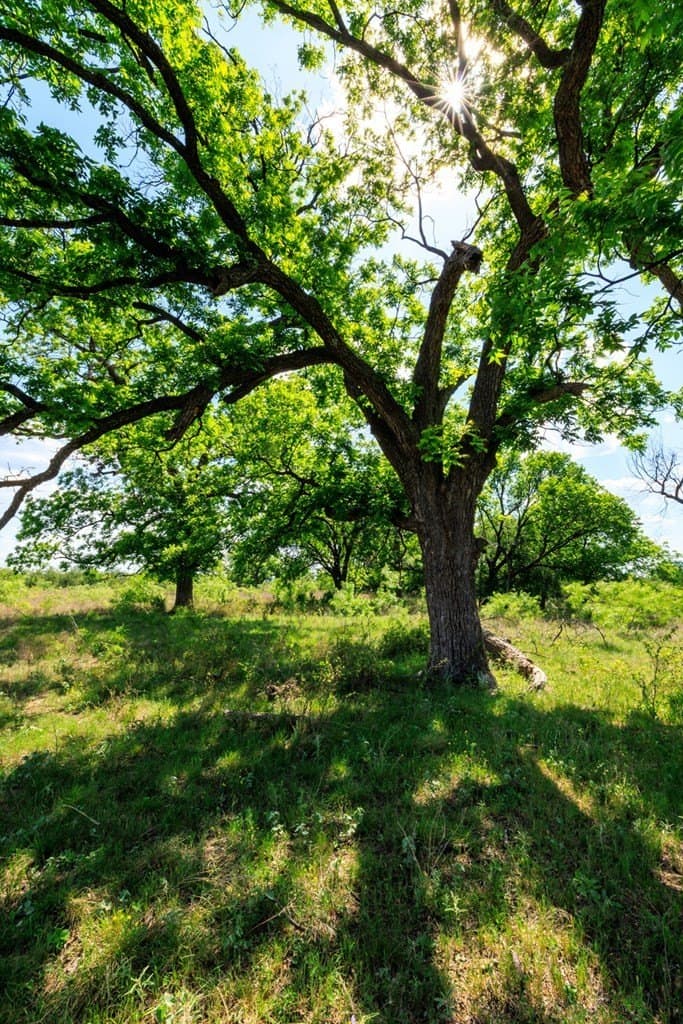 860 acres in San Saba County - photo 27