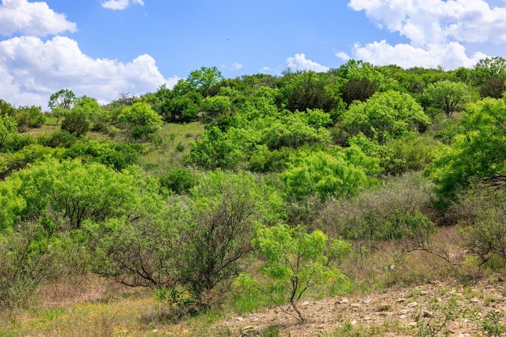 860 acres in San Saba County - photo 22