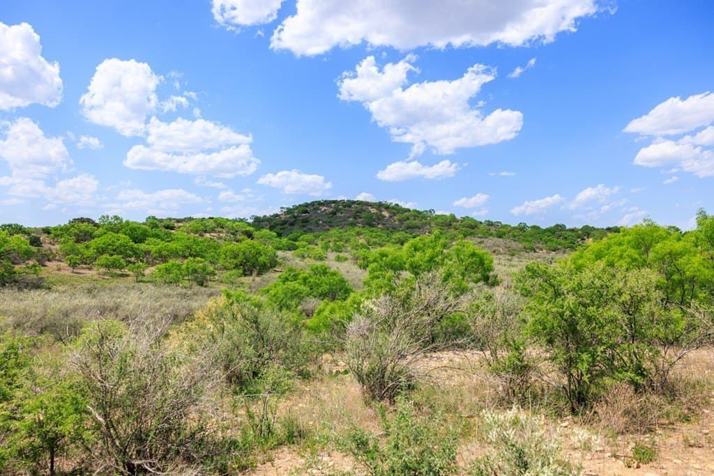 860 acres in San Saba County - photo 20