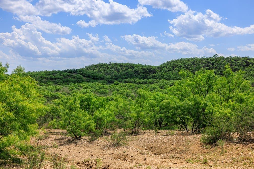 860 acres in San Saba County - photo 18