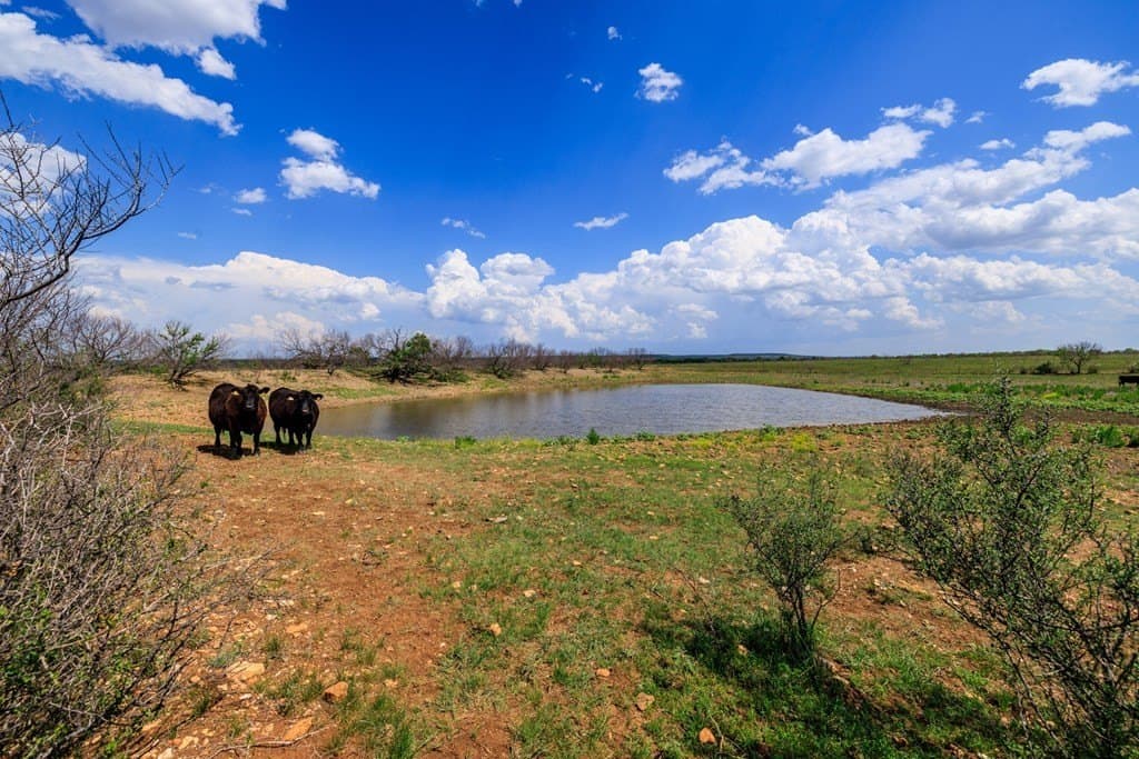 860 acres in San Saba County - photo 23