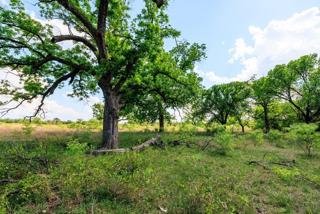 860 acres in San Saba County - photo 28