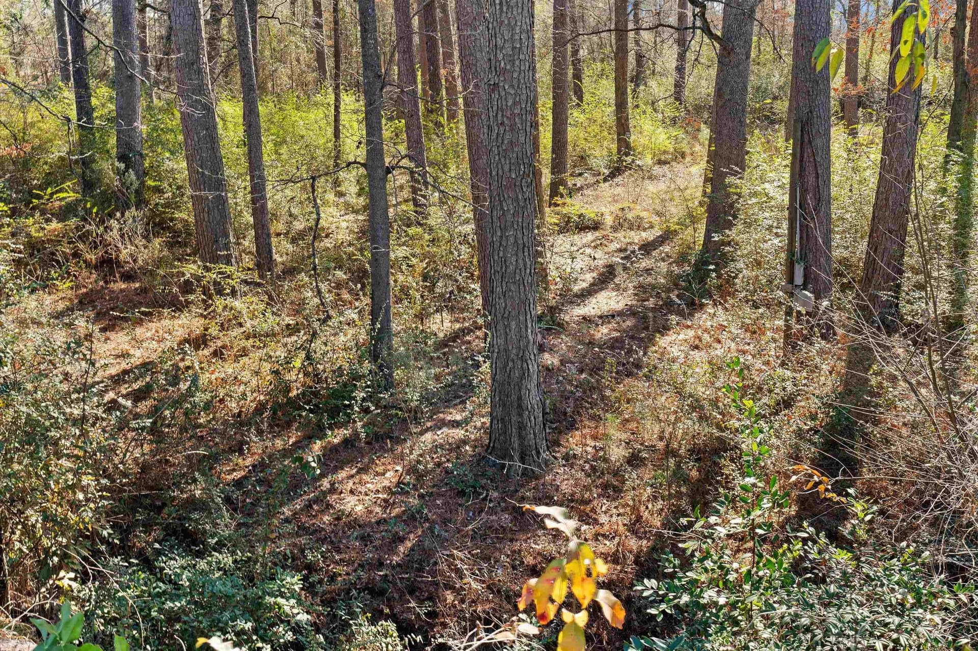 1.08 acres in Rusk County - photo 18