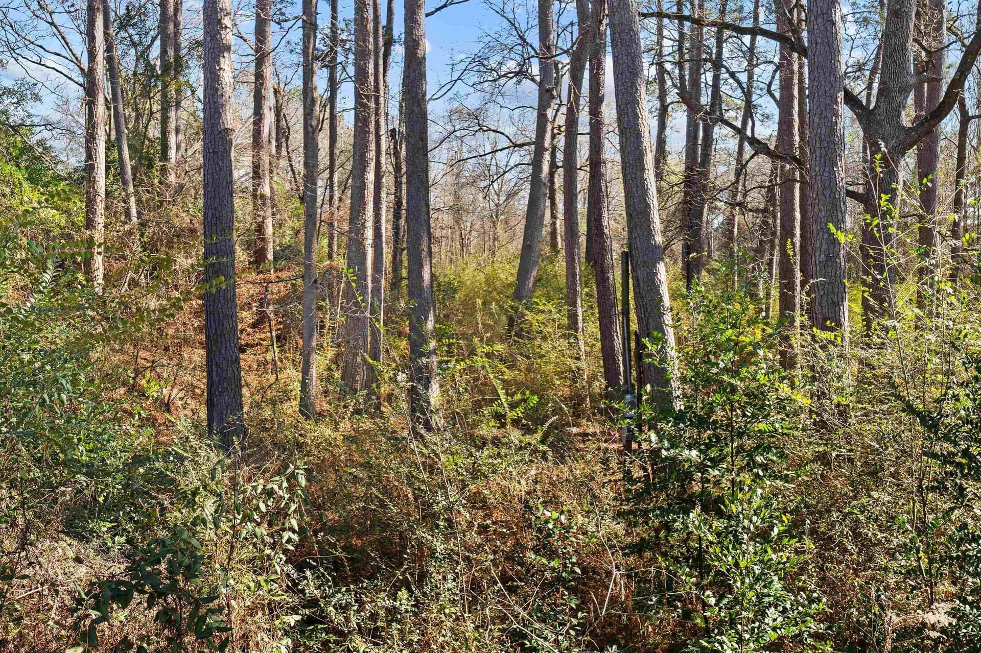 1.08 acres in Rusk County - photo 17