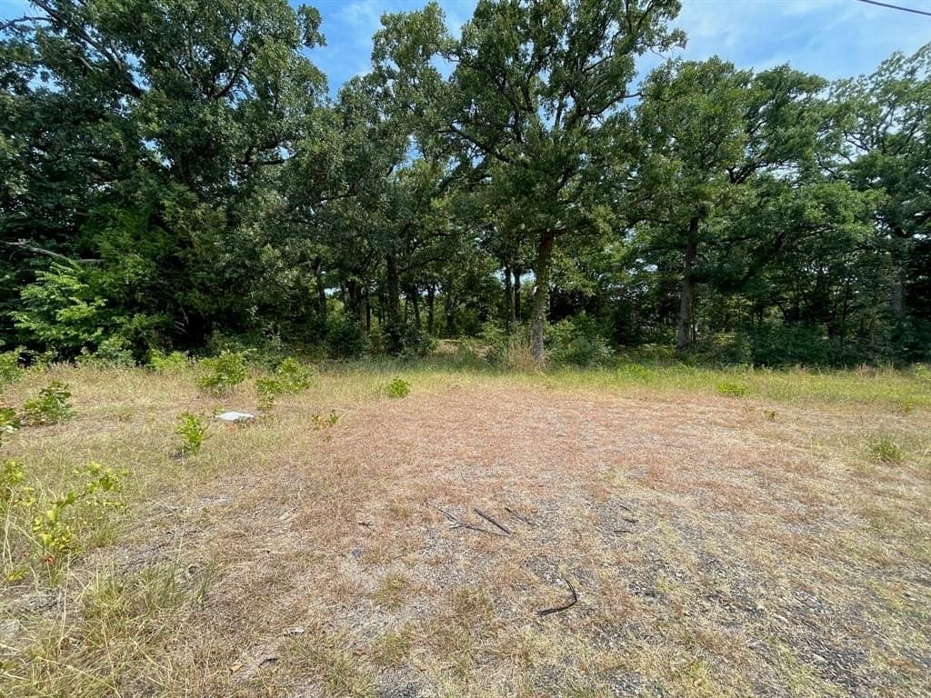 2.01 acres in Hunt County gallery image 3