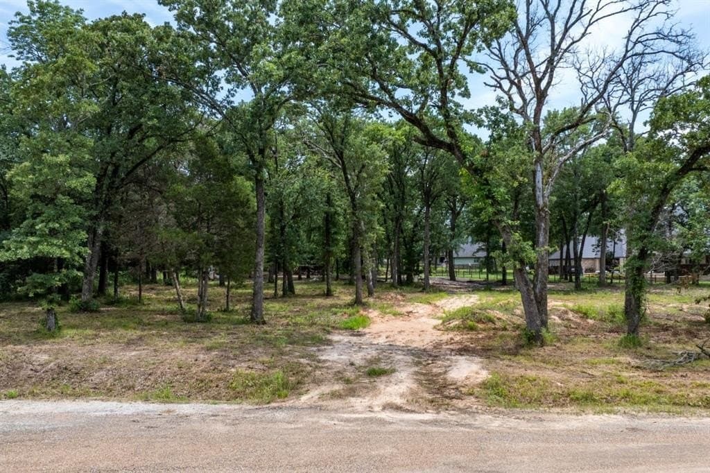 1.18 acres in Kaufman County gallery image 3