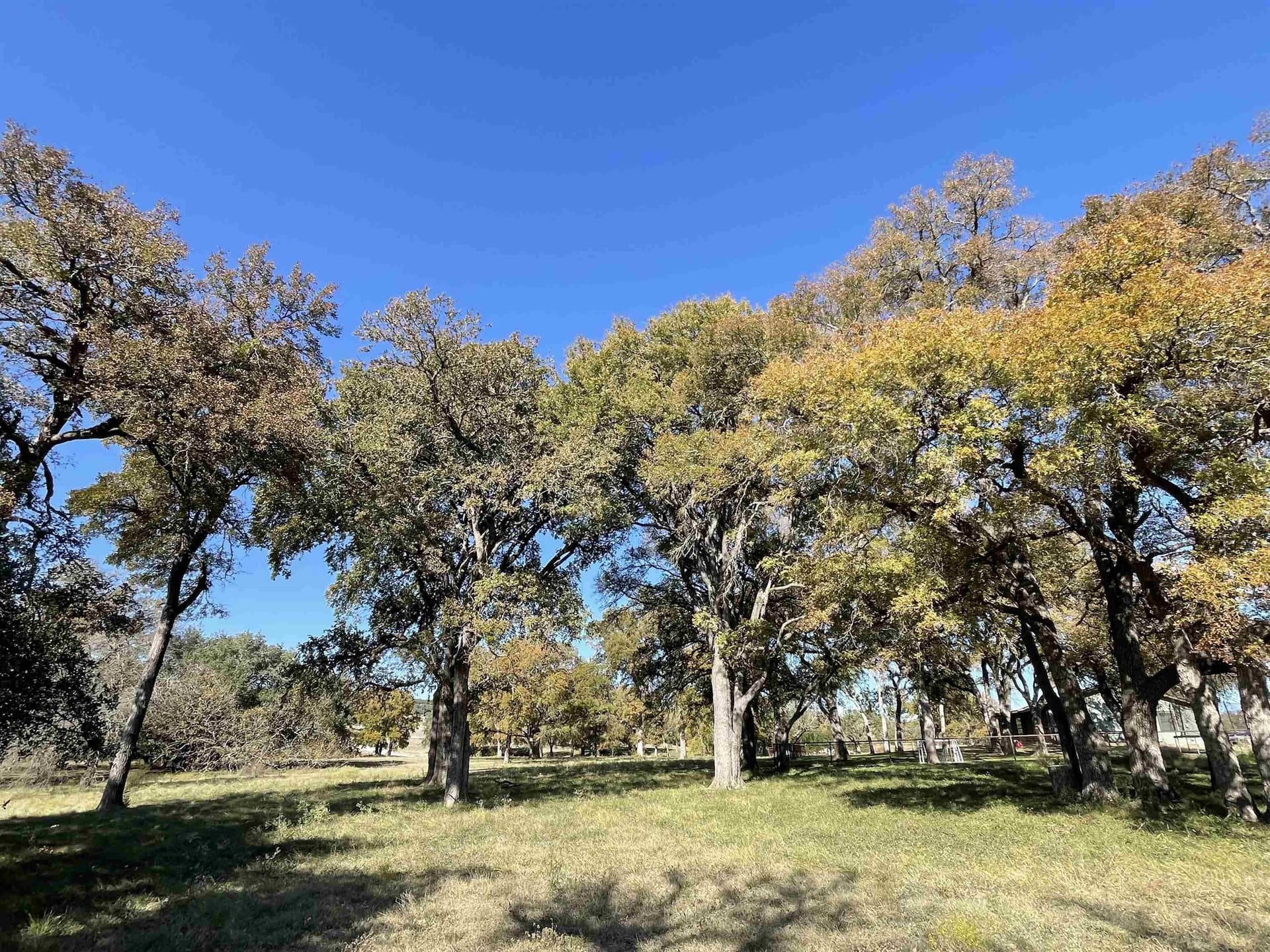 19.78 acres in Burnet County gallery image 4