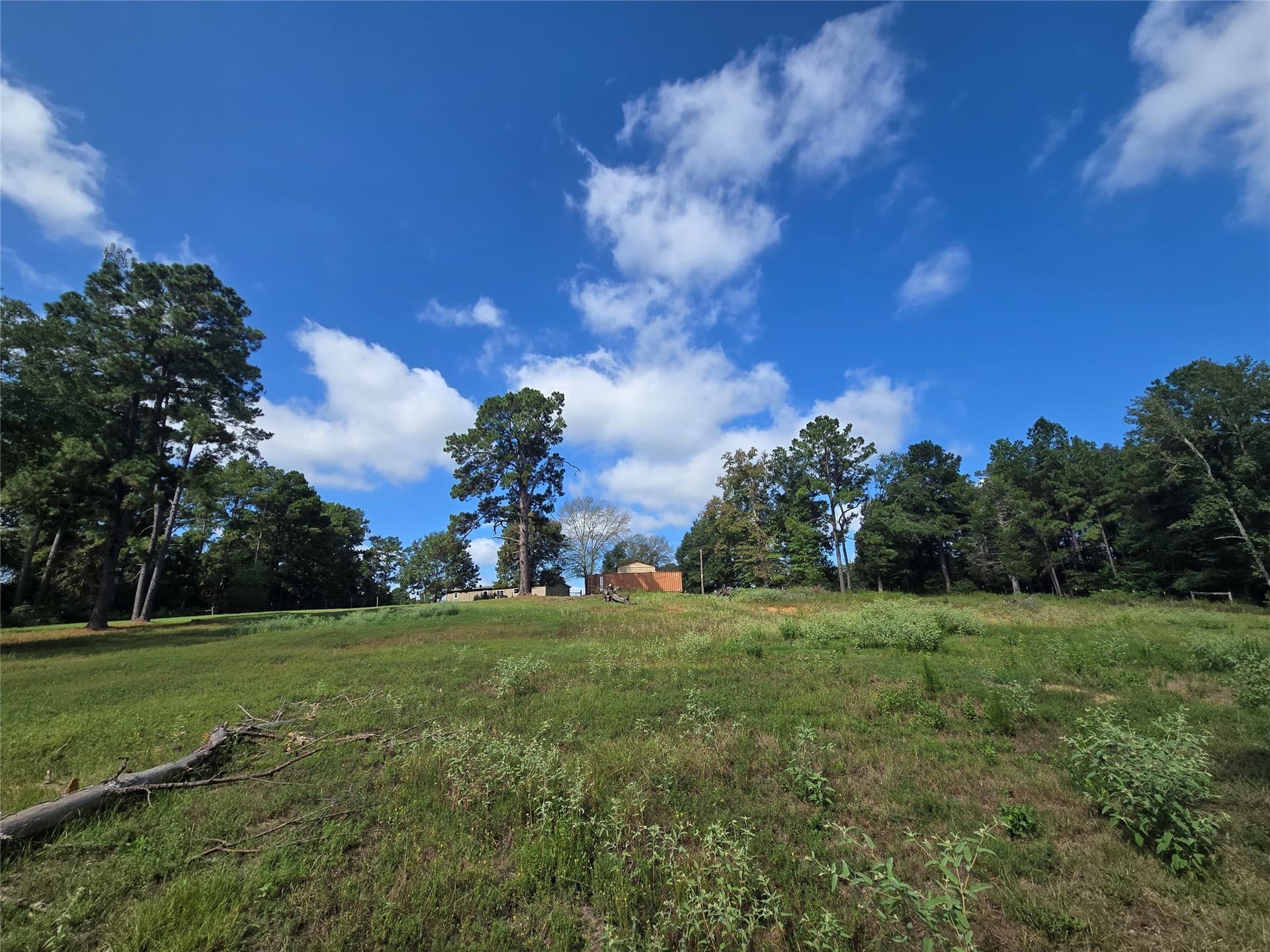 10.18 acres in Leon County - photo 4