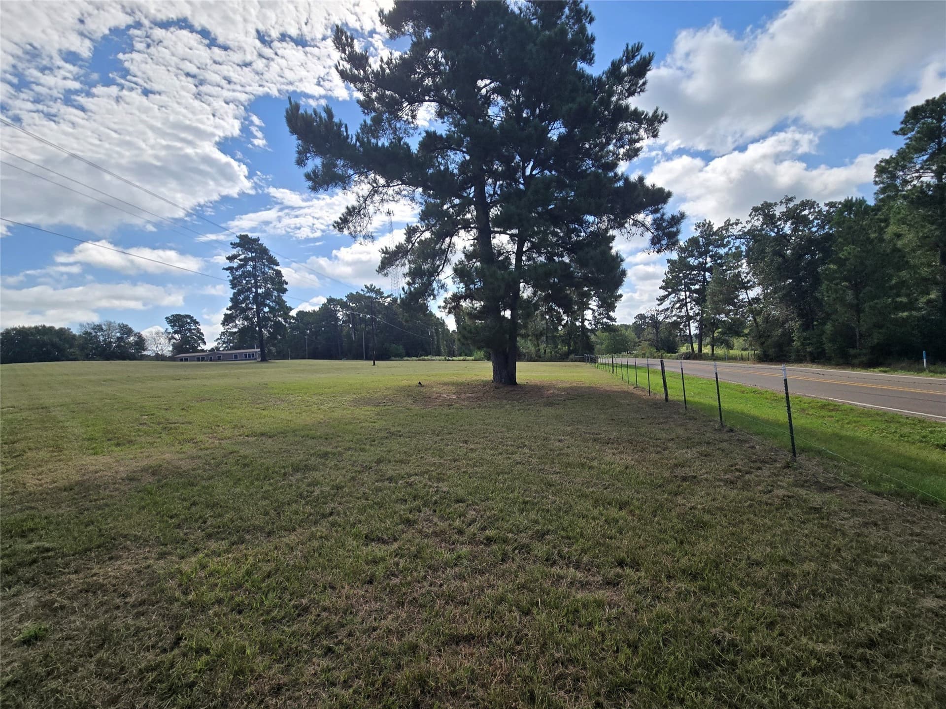 10.18 acres in Leon County - photo 3