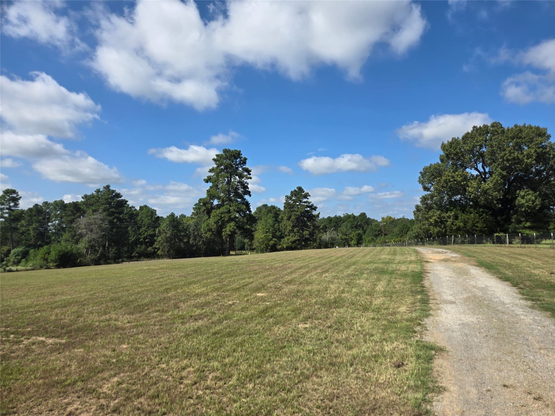 10.18 acres in Leon County - photo 7