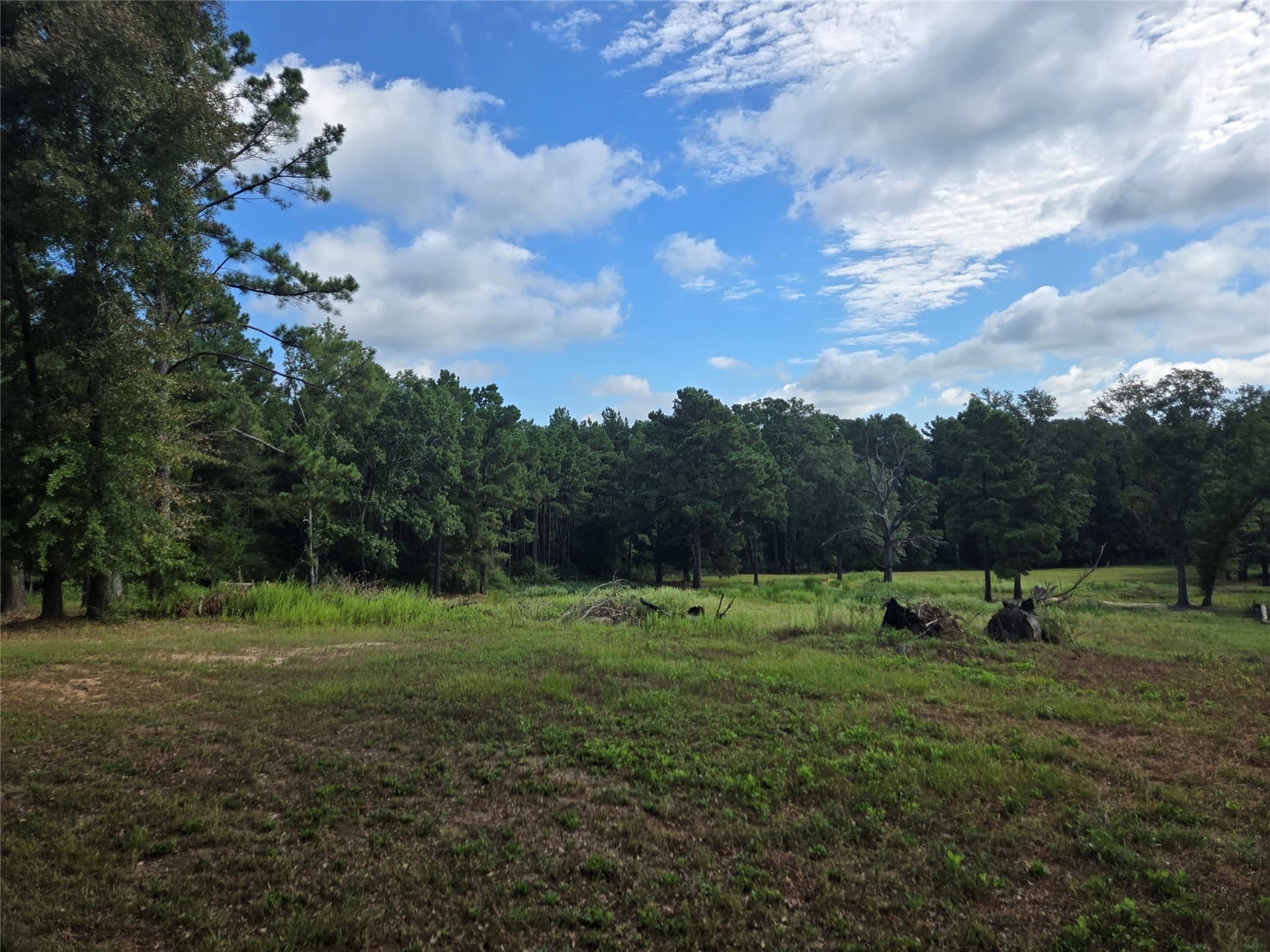 10.18 acres in Leon County - photo 6
