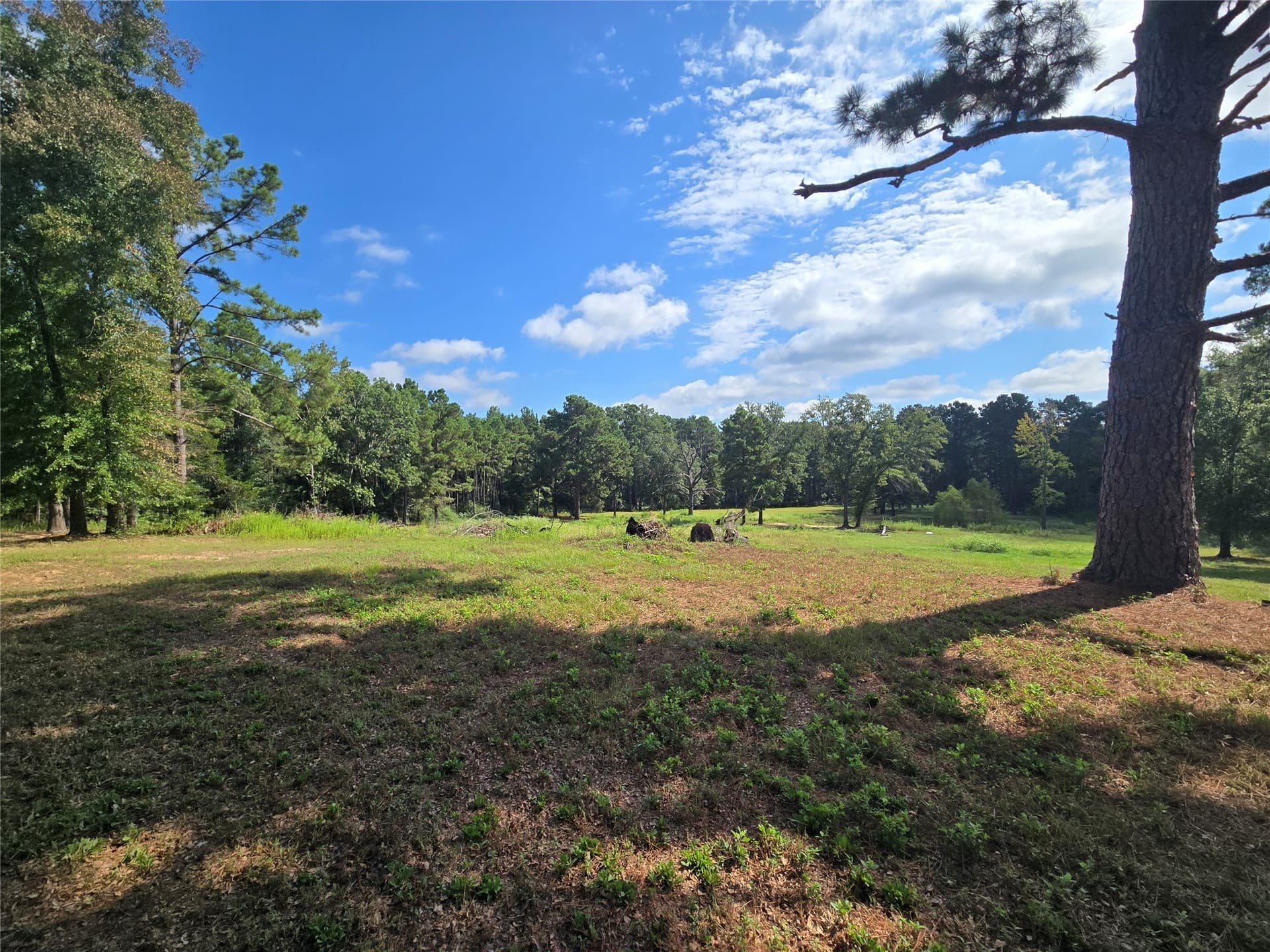 10.18 acres in Leon County - photo 8