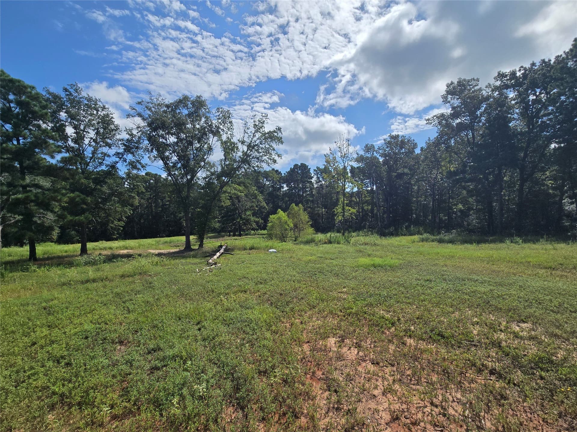 10.18 acres in Leon County - photo 9