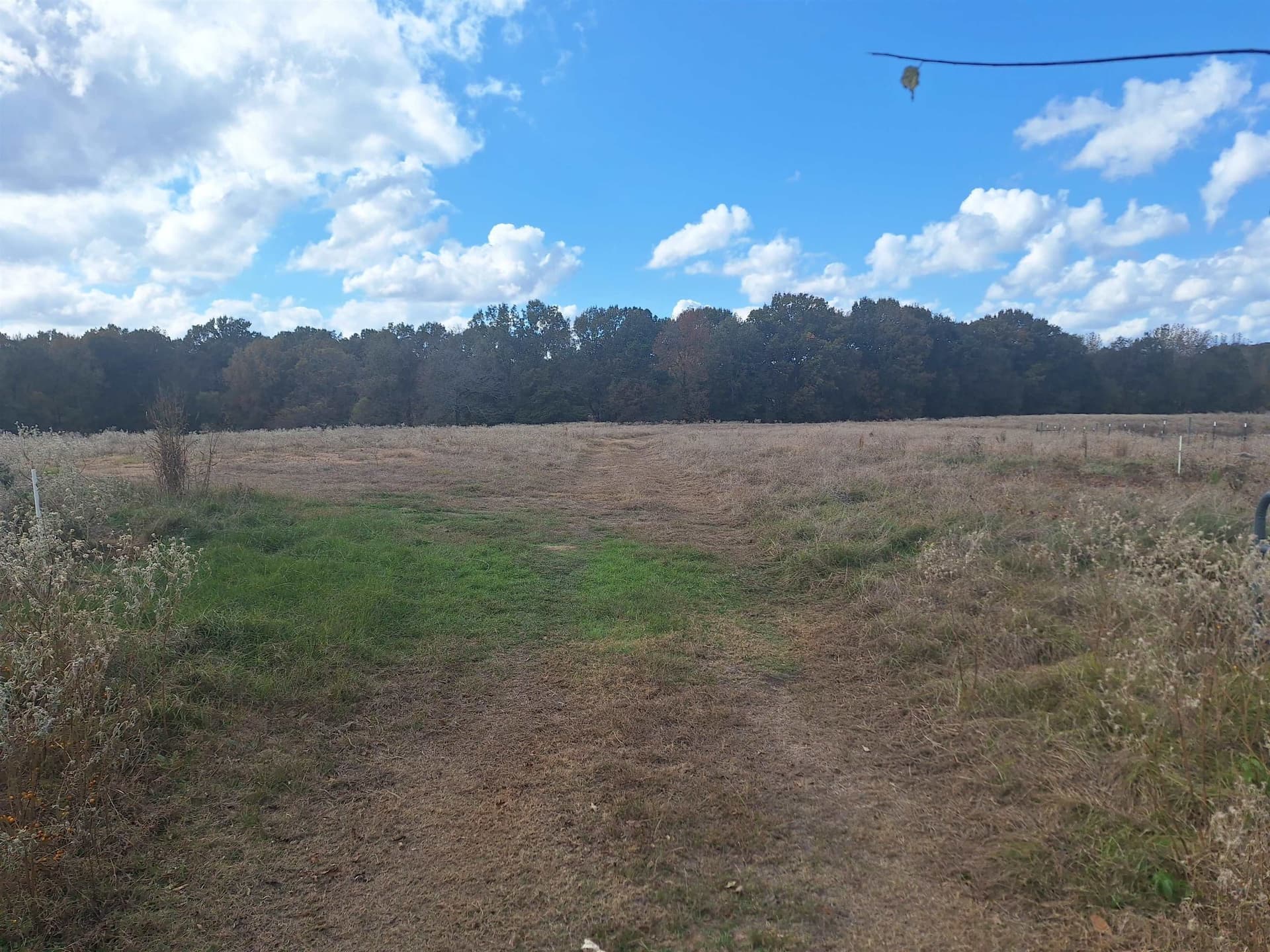 8.01 acres in Titus County gallery image 2