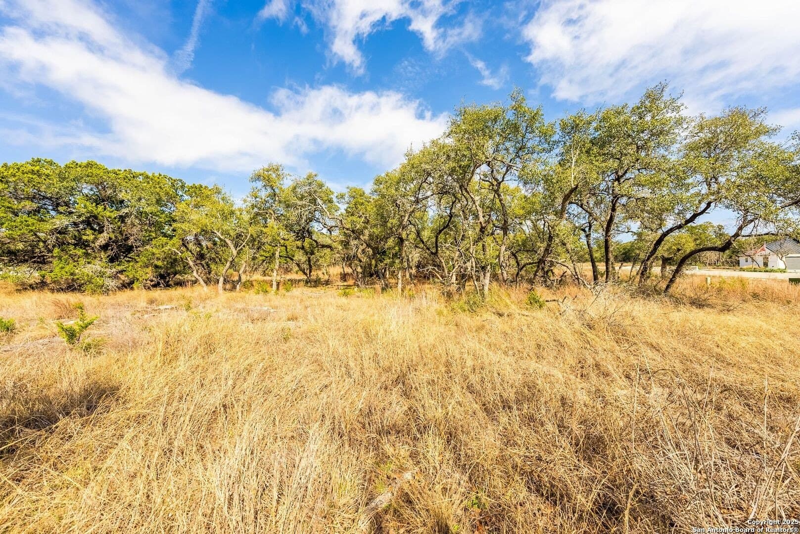 1.01 acres in Comal County - photo 30