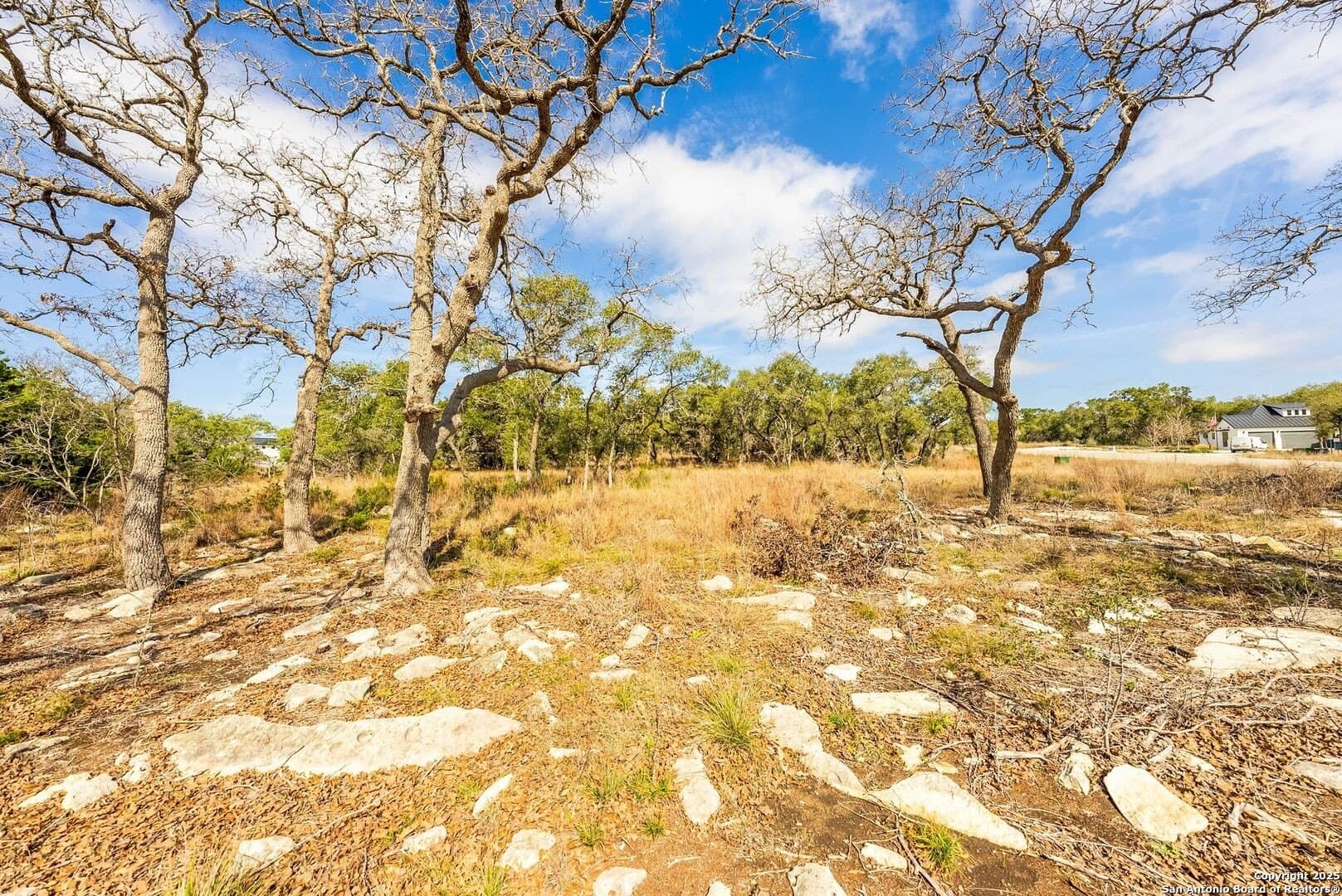 1.01 acres in Comal County - photo 28
