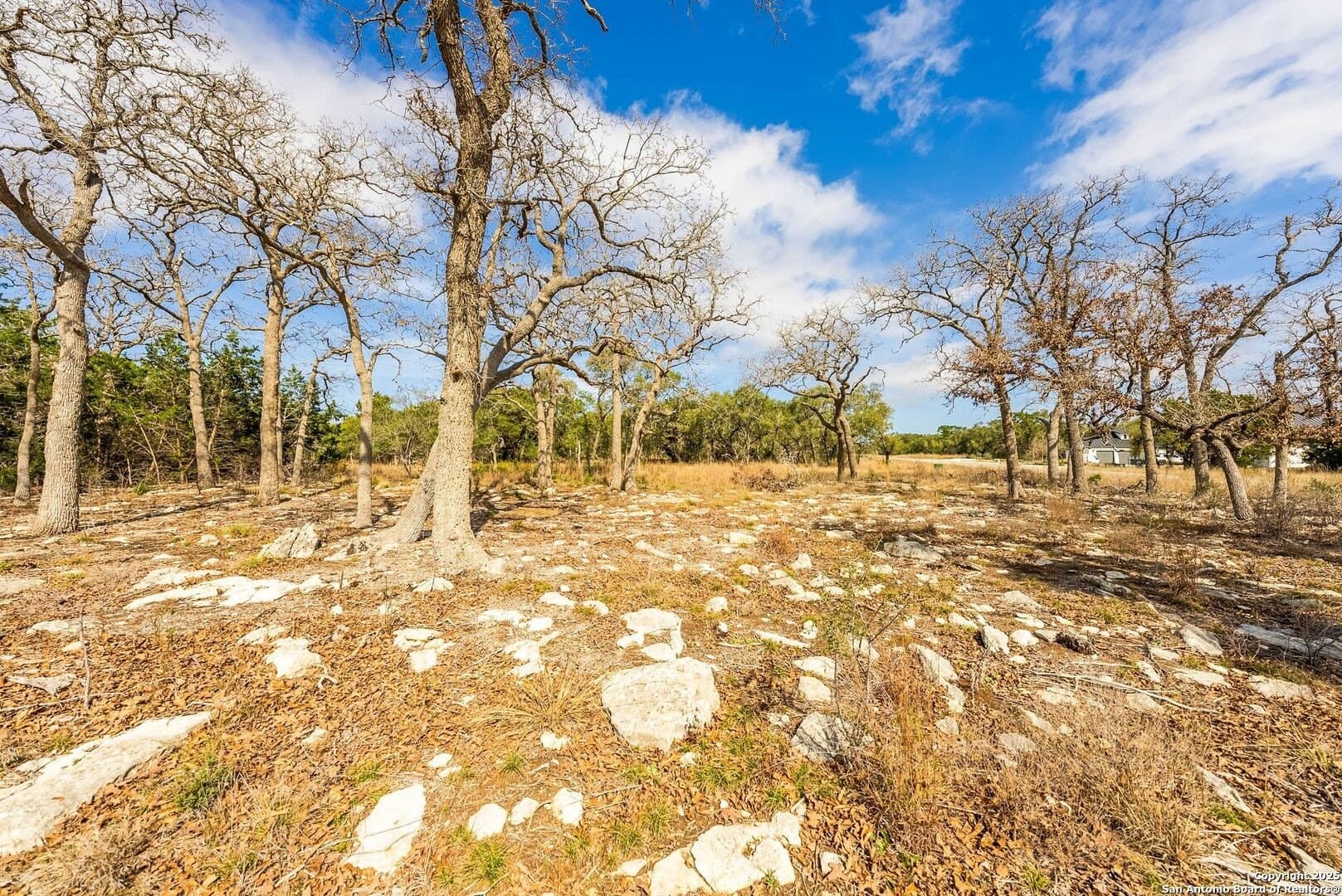 1.01 acres in Comal County - photo 26