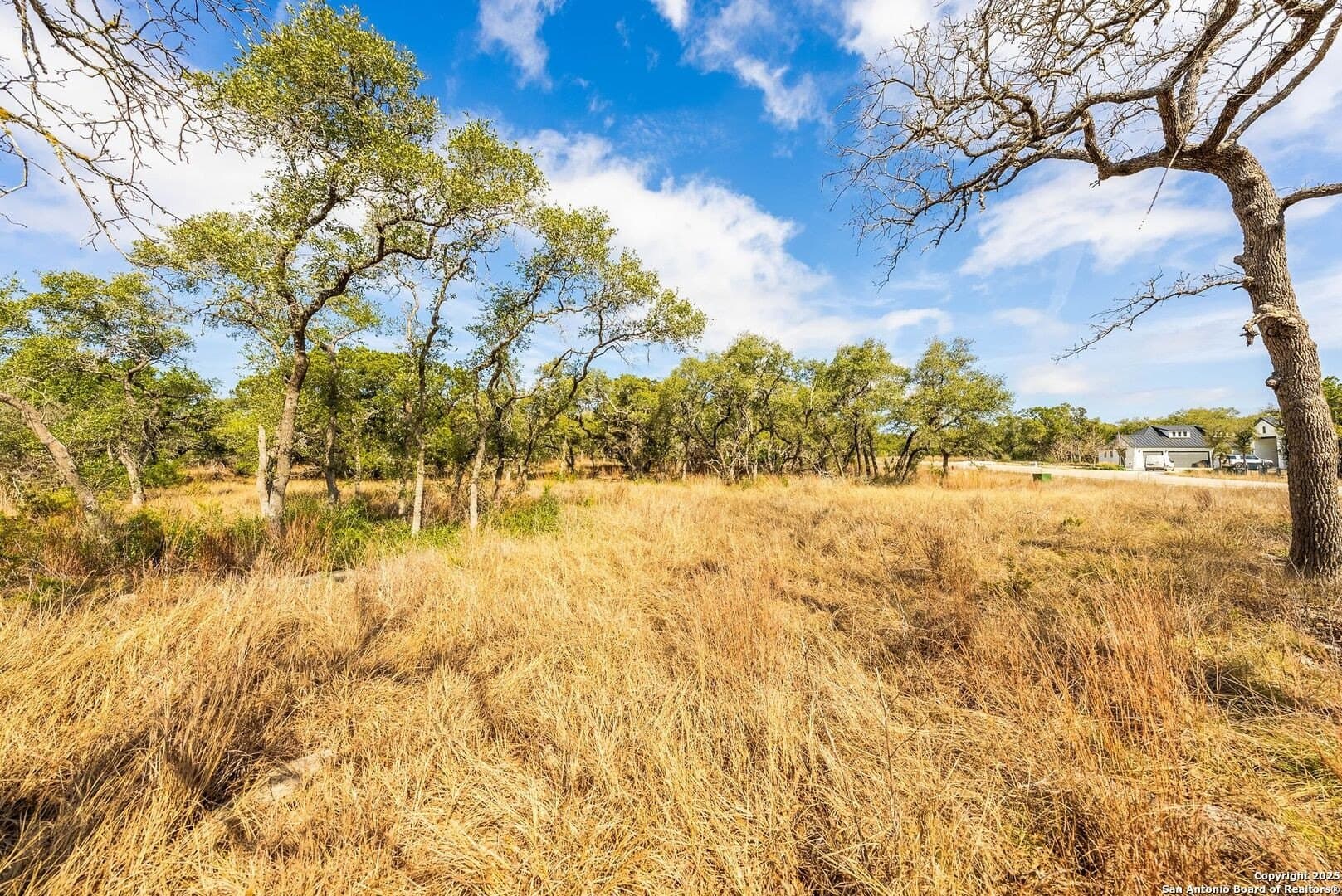 1.01 acres in Comal County - photo 29
