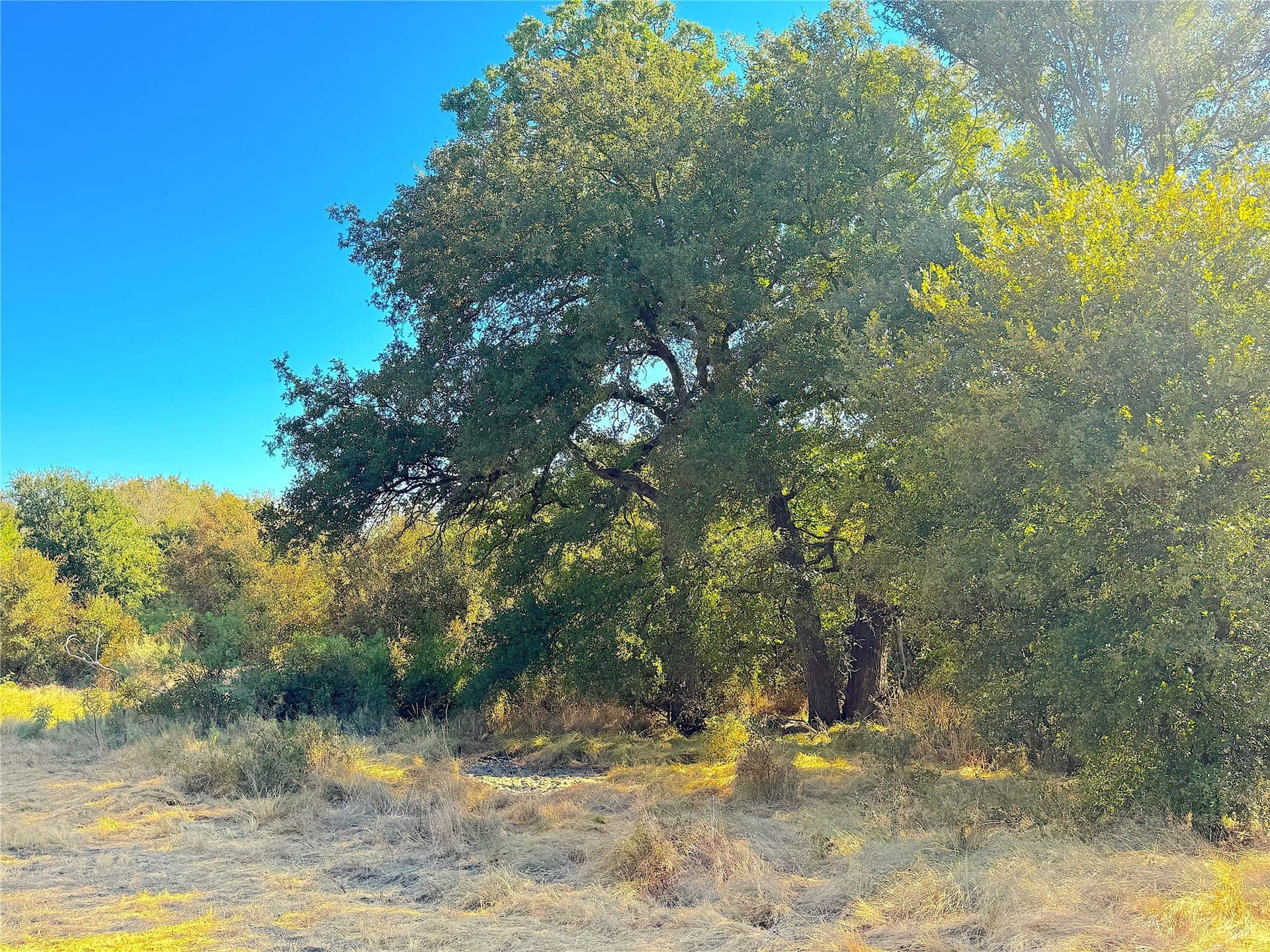 13.81 acres in Jack County - photo 30