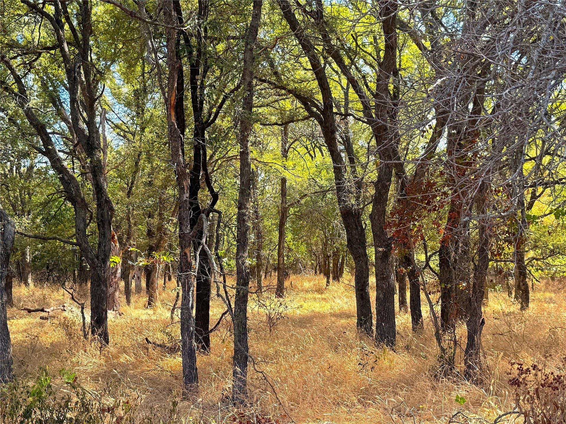13.81 acres in Jack County - photo 38