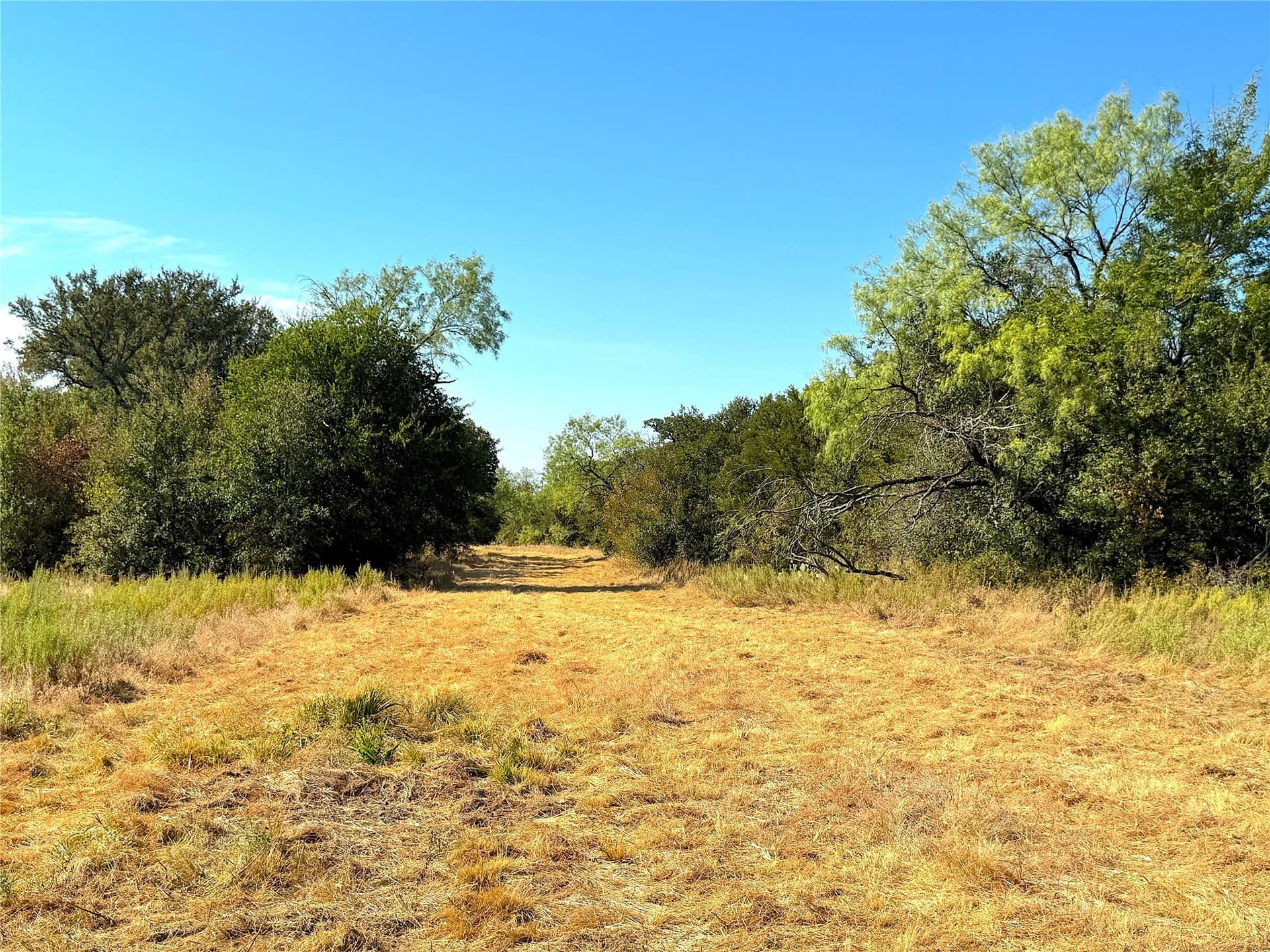 13.81 acres in Jack County - photo 36