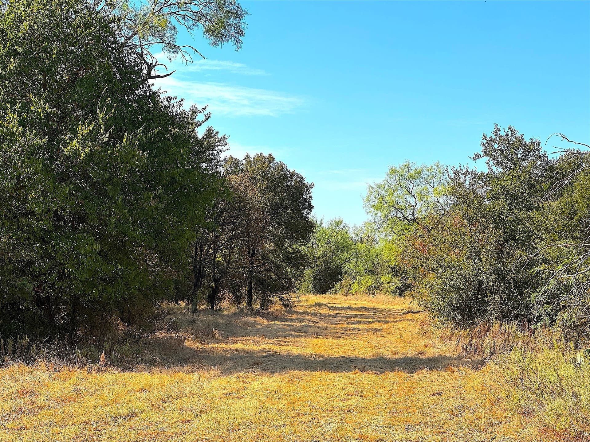 13.81 acres in Jack County - photo 32
