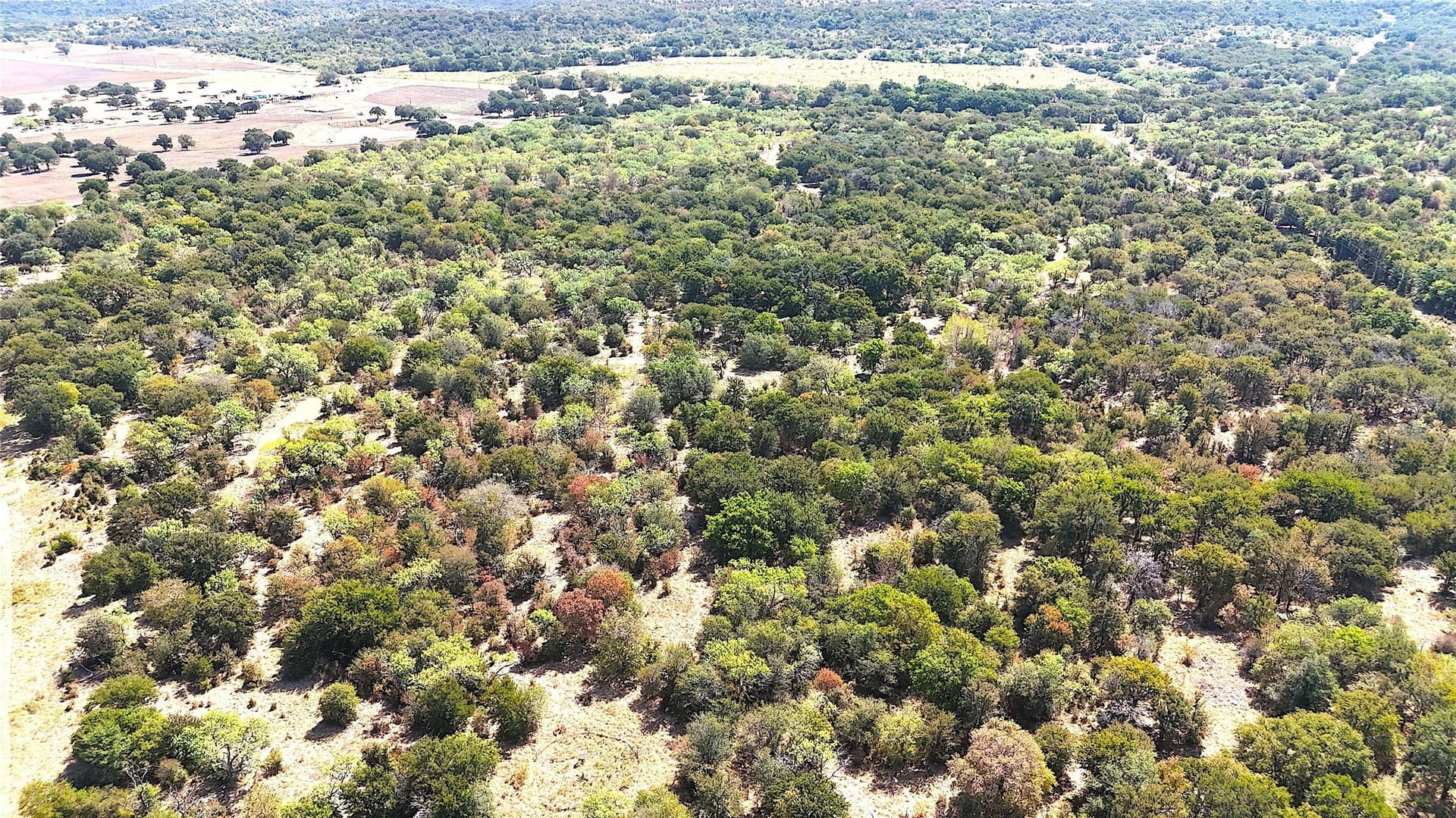 13.81 acres in Jack County - photo 33
