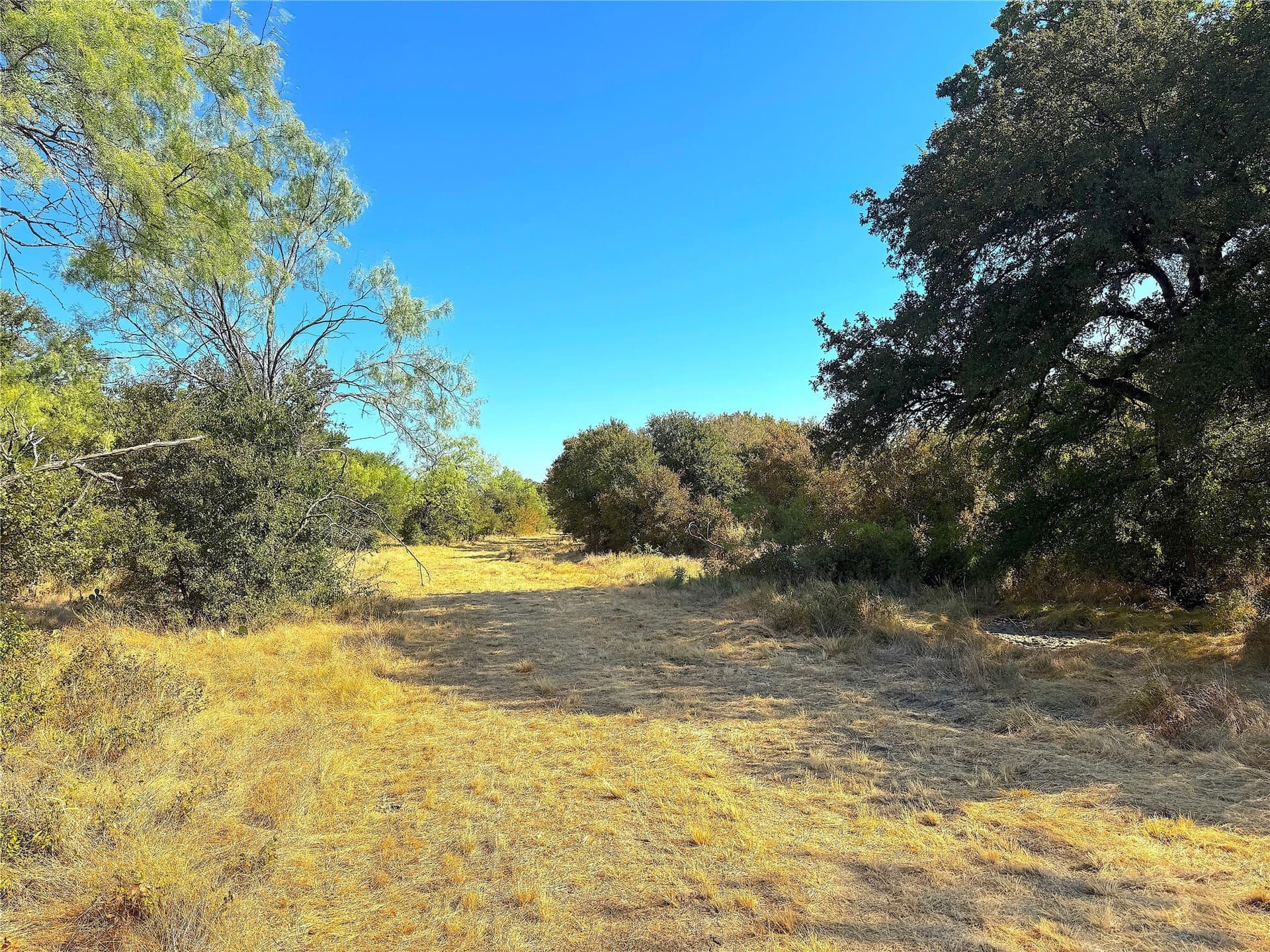 13.81 acres in Jack County - photo 29